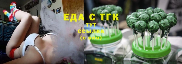 СК Алексин