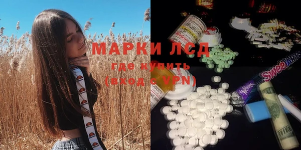 гидропоника Алзамай