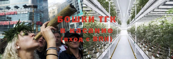 СК Алексин