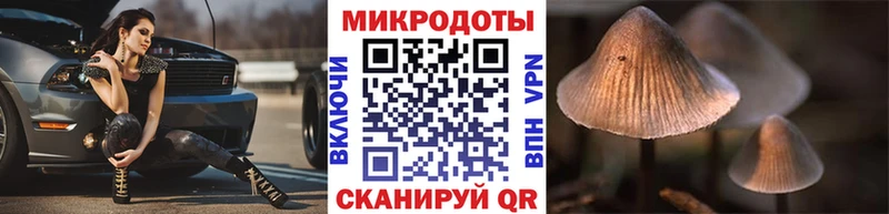 Галлюциногенные грибы мухоморы  Лукоянов 